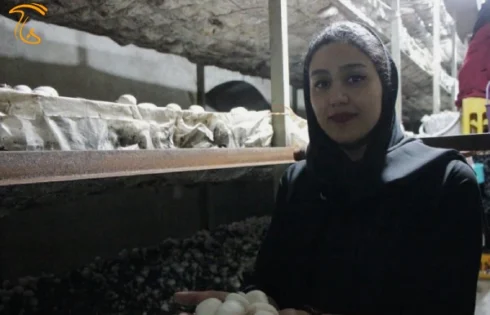 کارگاه پرورش قارچ بانوی شهر نایین