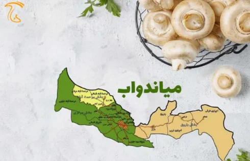 عکسی است از بخش کشاورزی میاندوآب گسترش یافت