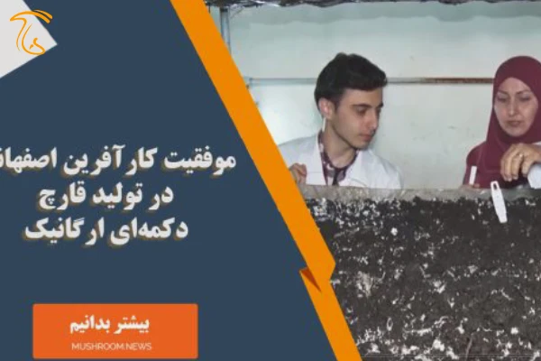 تولید قارچ دکمهای ارگانیک