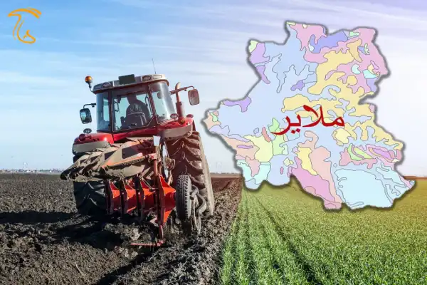 افتتاح بیش از 18 طرح کشاورزی در ملایر تا پایان سال جاری