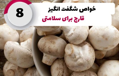 جوابیه انجمن صنفی پرورش دهندگان قارچ خوراکی در اعتراض به خبرگزاری تسنیم