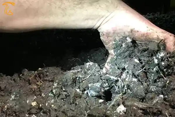 فصل مشترک کمپوست و خاک پوششی
