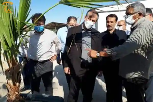 واحد کاشت قارچ خوراکی