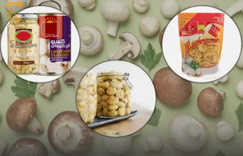 بررسی صنایع تبدیلی در قارچ خوراکی