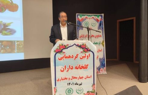 محصولات گلخانه‌ها و قارچ خوراکی باید صادرات محور باشد