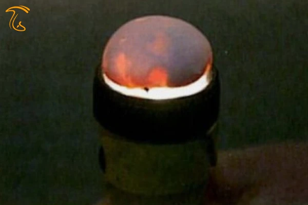 لکه های آب روی کلاهک قارچ