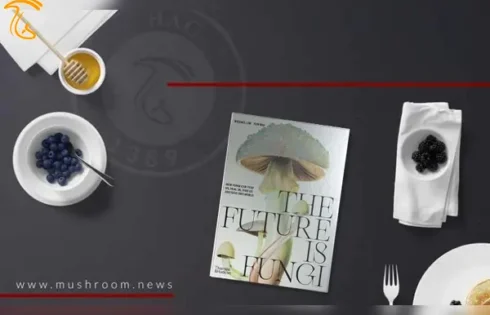 معرفی کتاب آینده قارچ The Future is Fungi
