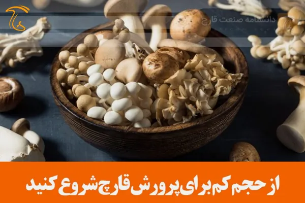 پرورش قارچ