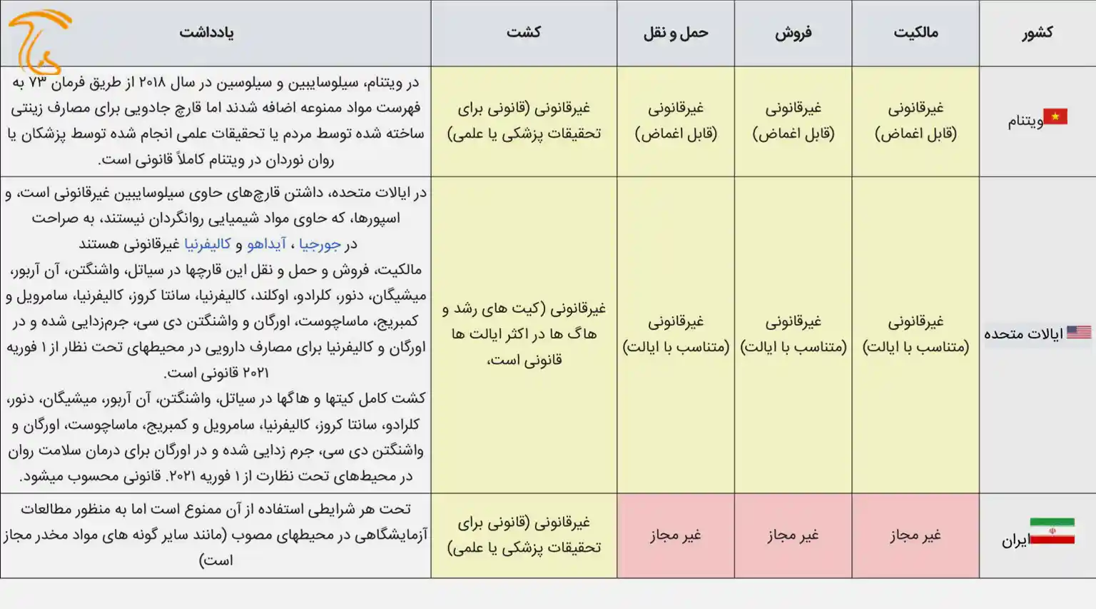 مجیک ماشروم و قانون استفاده از آن در کشورهای مختلف