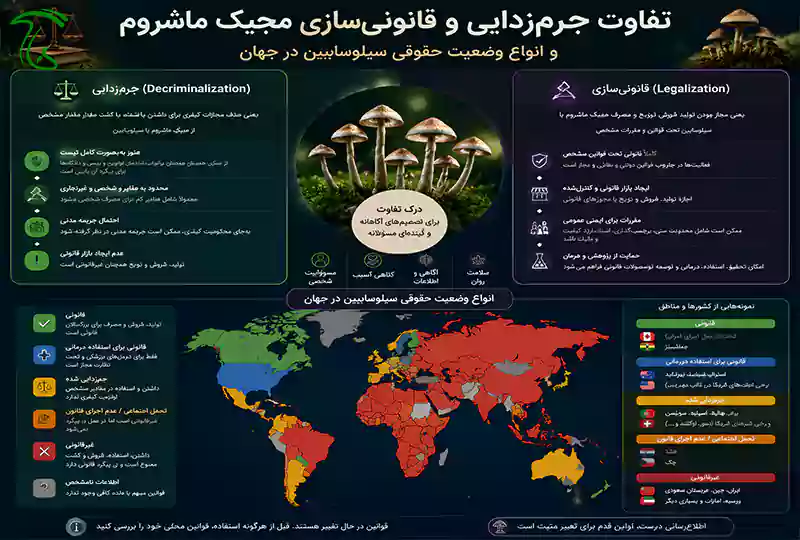 تفاوت جرمزدایی و قانونی سازی مجیک ماشروم و انواع وضعیت حقوقی سیلوسایبین