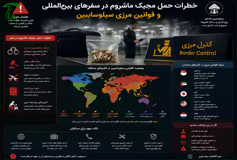 خطرات حمل مجیک ماشروم در سفرهای بینالمللی و قوانین مرزی سیلوسایبین