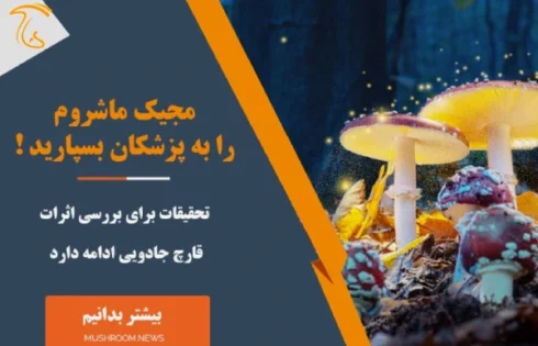 مجیک ماشروم را به پزشکان بسپارید