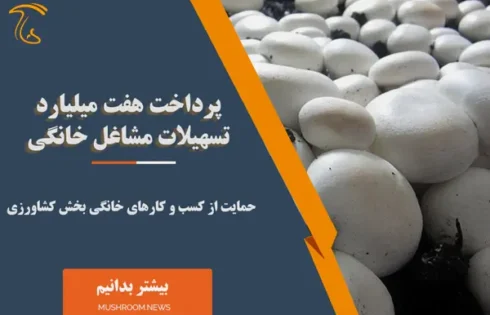 پرداخت تسهیلات پرورش قارچ در شهرستان گلوگاه