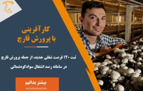 کارآفرینی با پرورش قارچ در سواد کوه