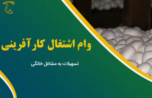 4.9 میلیارد تسهیلات برای پرورش قارچ خوراکی در منزل