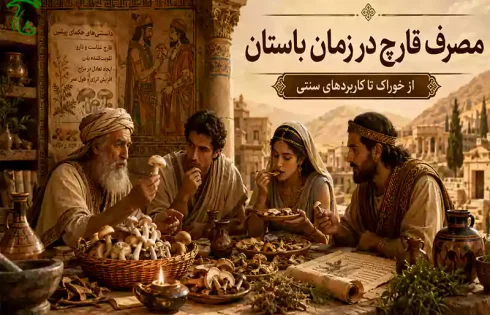 مصرف قارچ در زمان باستان برای غذا، دارو و روشن نگه‌داشتن آتش