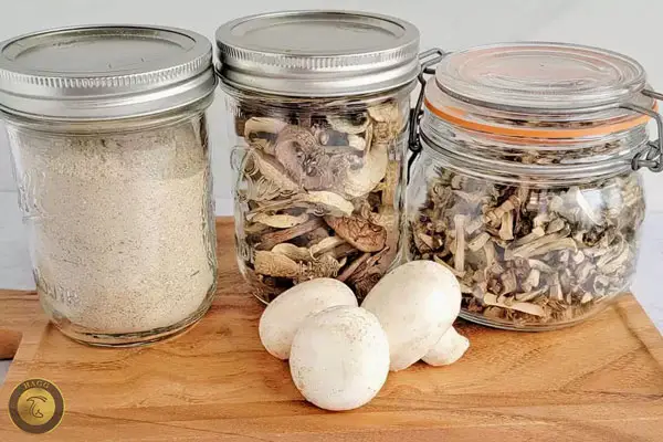 قارچخشک و پودر Dried mushroom