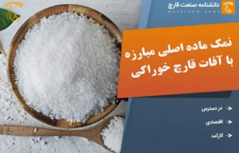 نمک ماده اصلی مبارزه با آفات قارچ خوراکی