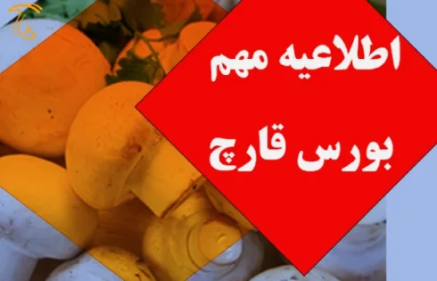 بورس قارچ