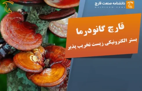 قارچ گانودرما بستر الکترونیکی