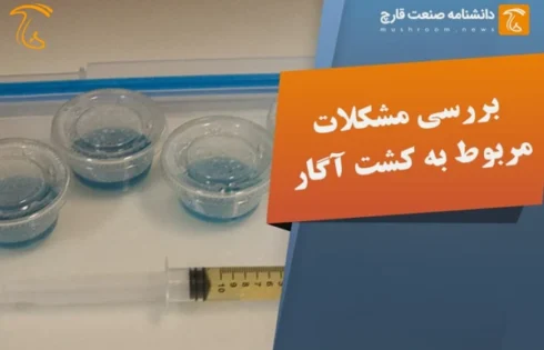 بررسی مشکلات کشت آگار و اگار پلیت