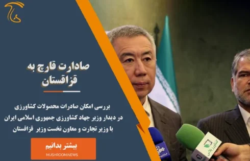 صادرات قارچ به قزاقستان