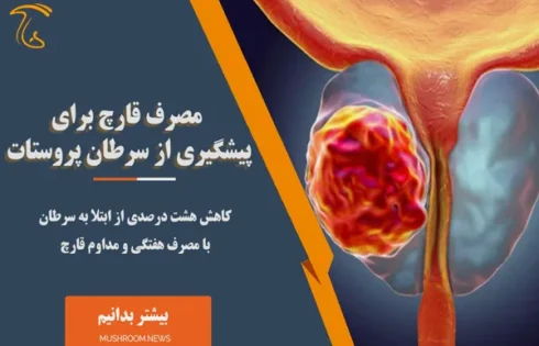 پیشگیری از سرطان پروستات با مصرف قارچ