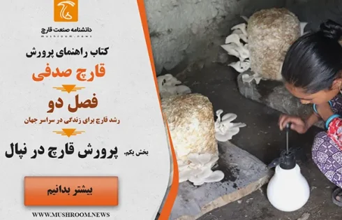 پرورش قارچ در نپال