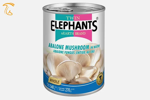 Pleurotus ostreatus