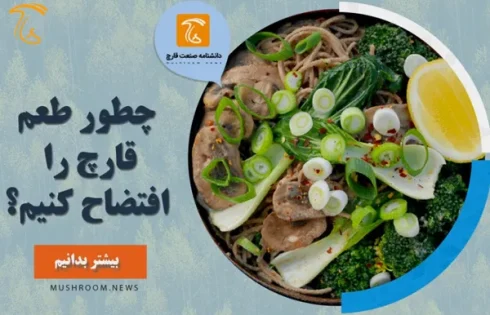 طعم خوب قارچ