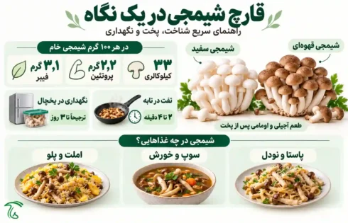 اینفوگرافیک قارچ شیمجی: انواع سفید و قهوهای، ارزش غذایی در ۱۰۰ گرم، زمان پخت و ماندگاری در یخچال