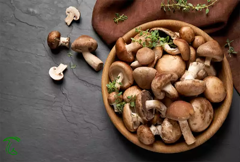 محاسبه مقدار مصرف قارچ در رژیم کتوژنیک