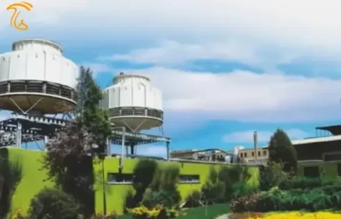 نمایی از کارخانه قارچ ملارد
