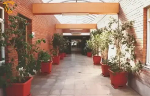 نمایی از کارخانه قارچ ملارد