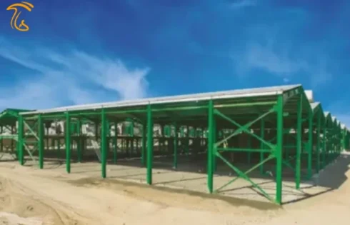 فنداسیون