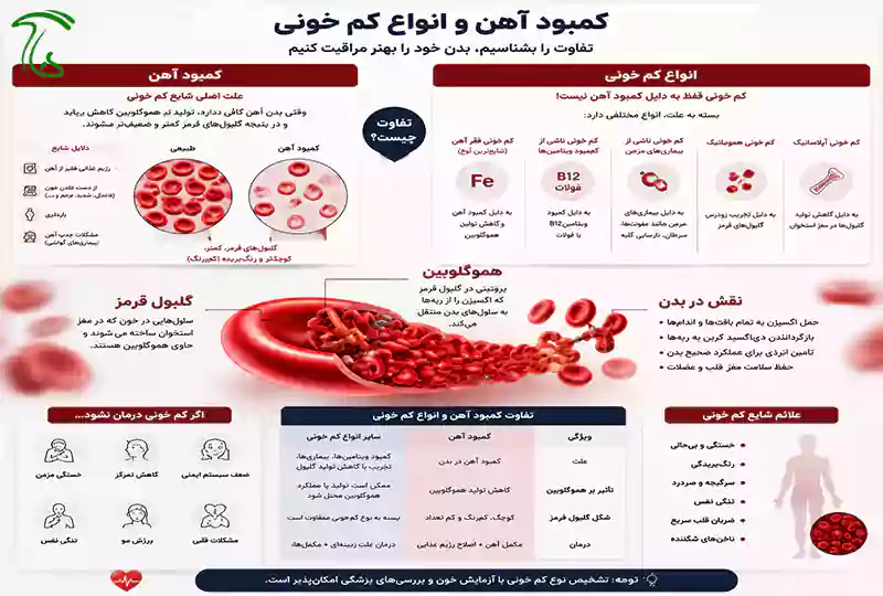 تفاوت کمبود آهن و انواع کم خونی؛ نقش هموگلوبین و گلبول قرمز در بدن