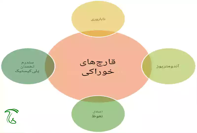 فواید و اهمیت قارچ ها در سلامت و زندگی انسان ها