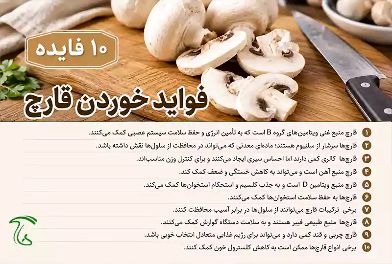 10 فایده و اهمیت خوردن قارچ