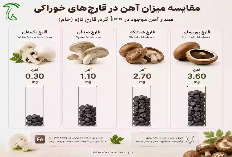مقایسه میزان آهن در قارچ دکمهای، قارچ صدفی، شیتاکه و پورتوبلو در ۱۰۰ گرم