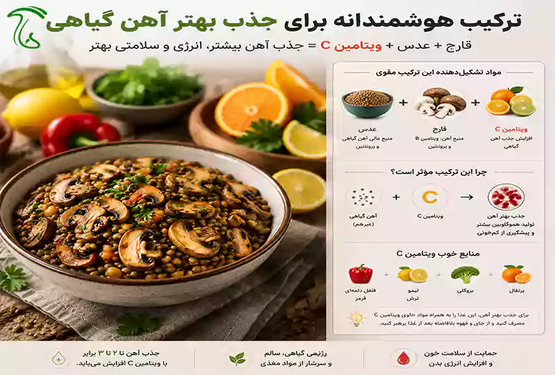 ترکیب قارچ با عدس و مواد غذایی حاوی ویتامین C برای جذب بهتر آهن گیاهی
