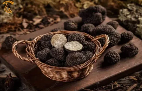 خواص قارچ دنبلان یا ترافل انکار ناپذیر است مطالعات بسیار این مهم را تایید میکند