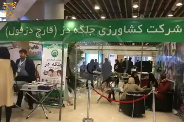 عکس مربوط به غرفه قارچ دزفول در عرضهگاه 2017
