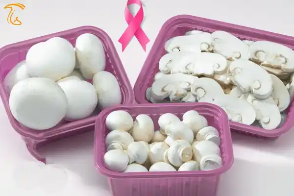 عکس مقاله مربوط قارچحاوی پروتینی مناسب به جای پروتینگوشتحیوانی