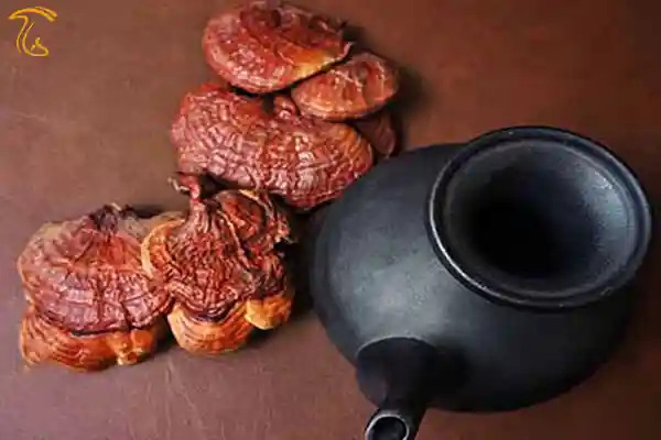 دمنوش یا چای گانودرما