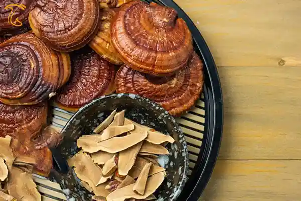قارچ خشک گانودرما
