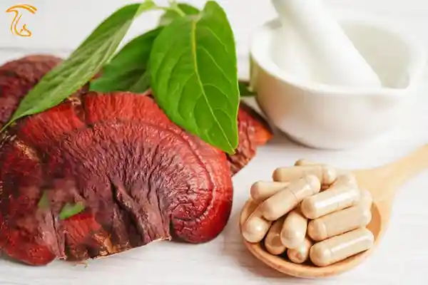 کپسول حاوی پودر لینگزی