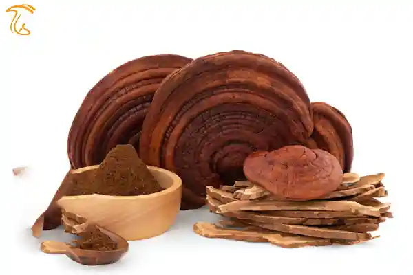 طریقه مصرف ریشی