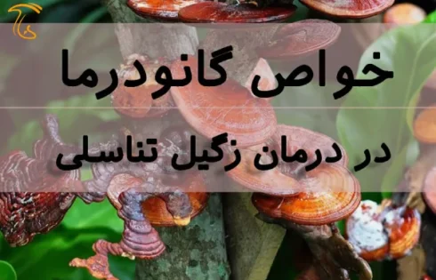خواص قارچ گانودرما برای زگیل تناسلی
