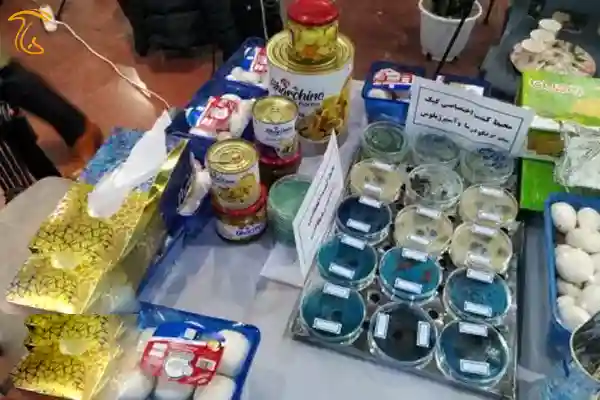 عکس مربوط به مقاله صنایع فرآوری قارچ در نمایشگاه کشاورزی ۱۴۰۱