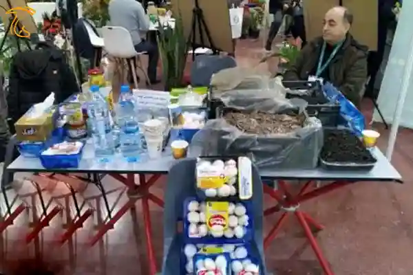 عکس مربوط به مقاله صنایع فرآوری قارچ در نمایشگاه جامع کشاورزی ۱۴۰۱